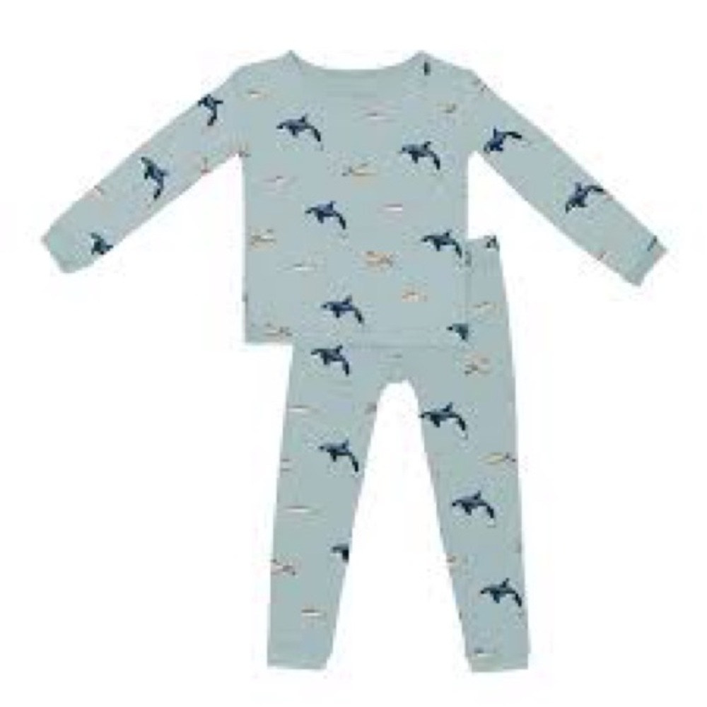 Kyte baby long sleeve pajamas